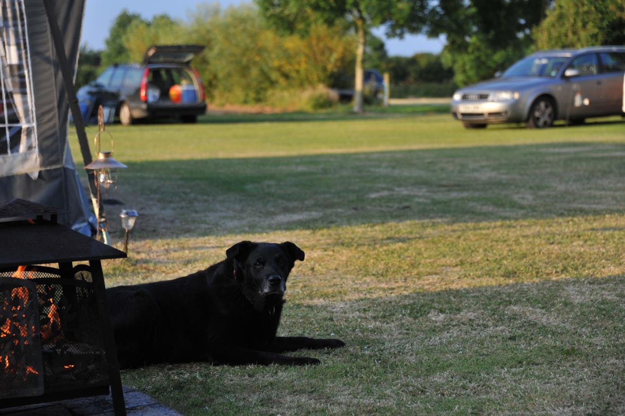 The Campsite